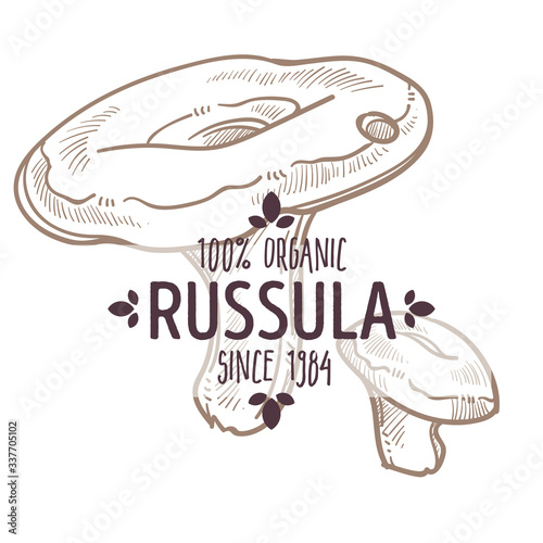 Russula mushroom, Agaricus fungi monochrome sketch label vector photo