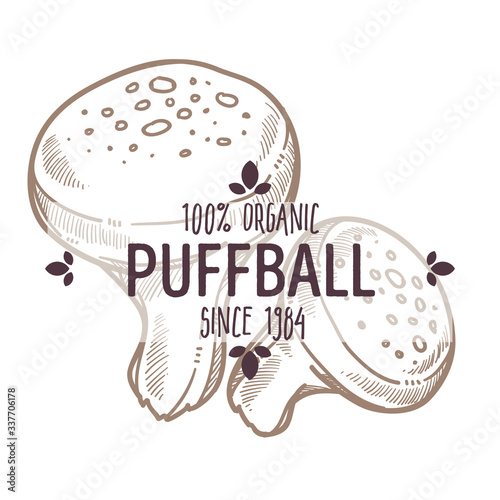 Puffball mushroom type, fungus emblem of Basidiomycota vector