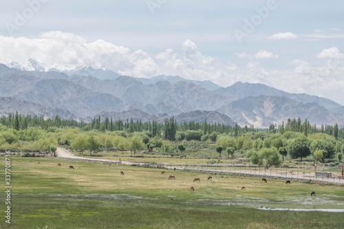 Photography Leh,aldakh,Jammu And KashmirIndia-17-04-2019:Photos taken in Leh,Ladakhregion,India