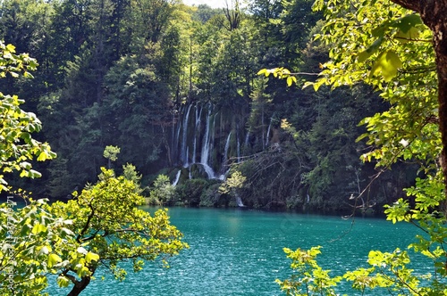 lake in the forest , plitvice Croatia Natural Park