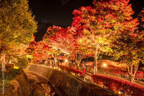 Light up maple corridor (Momiji Kairo) at Kawaguchiko Lake in Autumn at night (Yamanashi, Japan) photo