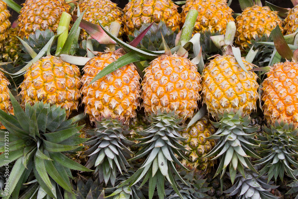There are many yellow, delicious taste in Thailand
There are many yellow, delicious taste in Thailand
