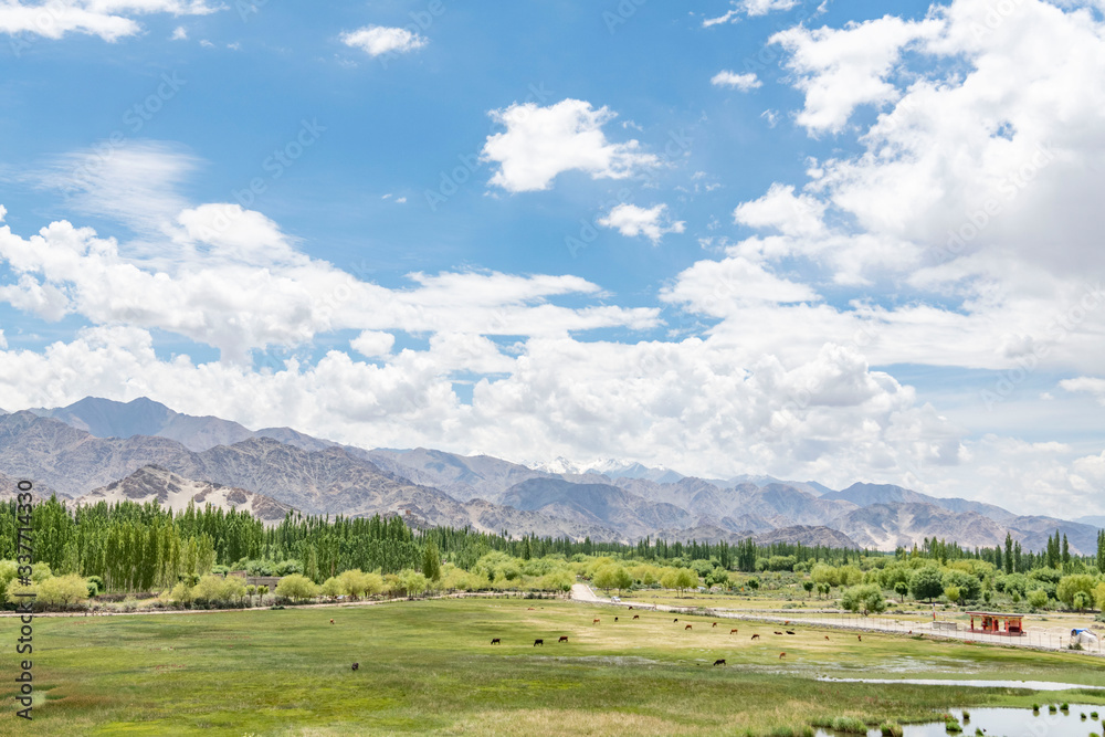 Leh,ladakh,Jammu And Kashmir India-17-04-2019:Photos taken in Leh,Ladakh region,India.