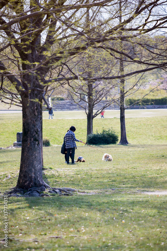 朝の公園で犬を連れて散歩している人
