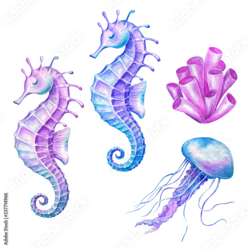 Watercolor illustration with seahorses jellyfish and seaweed