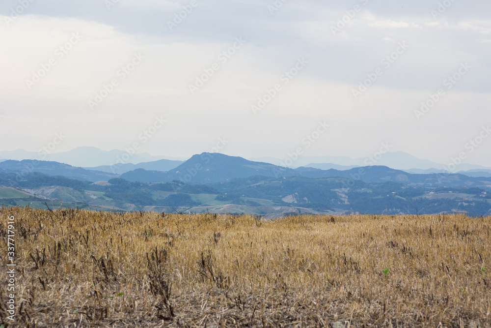 Panorama Panorama