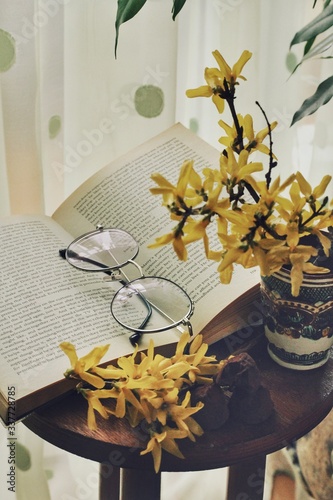 Obraz na płótnie Dark mystic and calm mood. Book and flowers on the table, spring morning at home w salonie