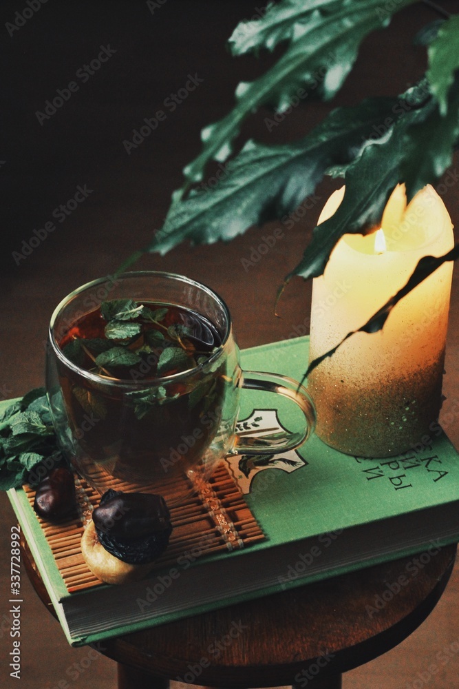 Dark mystic and calm mood. Book and hot tea with mint and honey on table with green plant