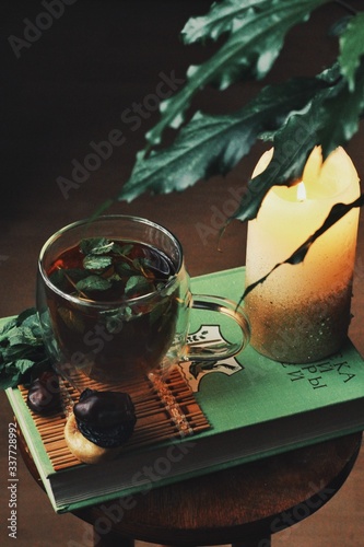 Dark mystic and calm mood. Book and hot tea with mint and honey on table with green plant