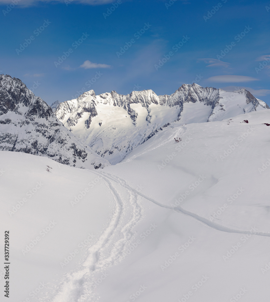 Mountain winter scenery with ski tracks through powder snow. Swiss mountains Wannenhorn Gabelhorn in Wallis in Jungfrau-Aletsch region near Moosfluh.