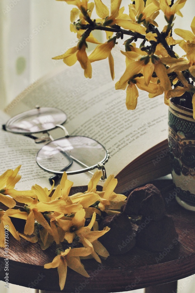 Dark mystic and calm mood. Book and flowers on the table, spring morning at home