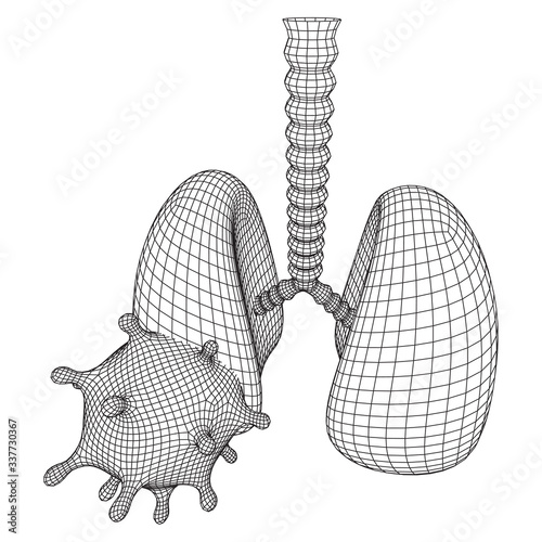 Corona Virus and Lungs with trachea bronchi internal organ human. Covid virus pulmonology medicine science concept. Wireframe low poly mesh vector illustration.