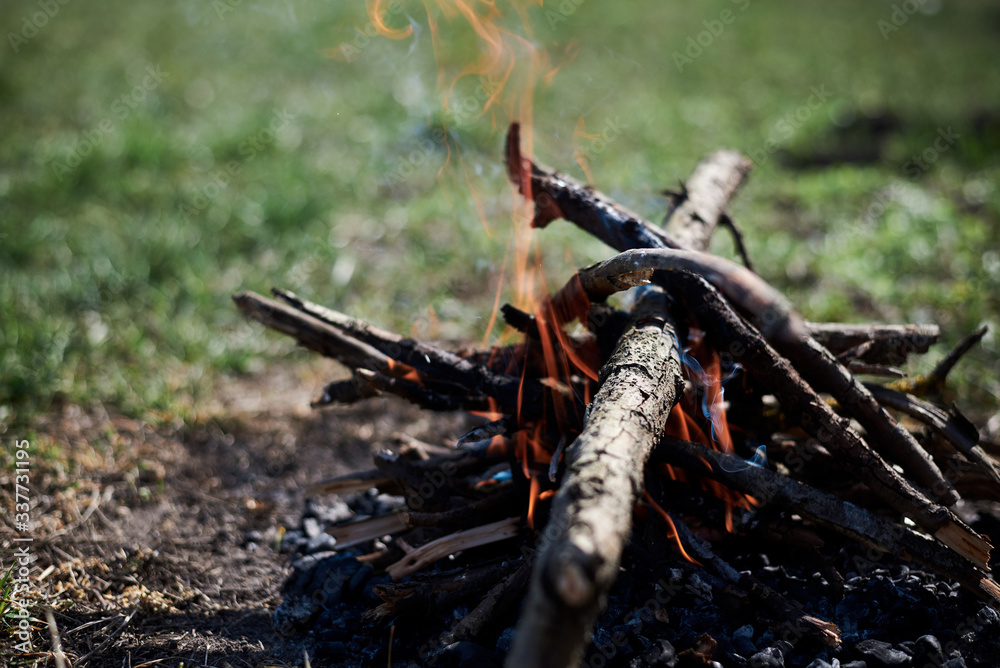Obraz premium Close-up picture of bonfire, made of dry branches, outside on green grass at sunny weather in summer.