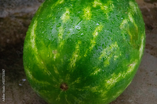 Close-up of fresh watermelon texture with water drops.