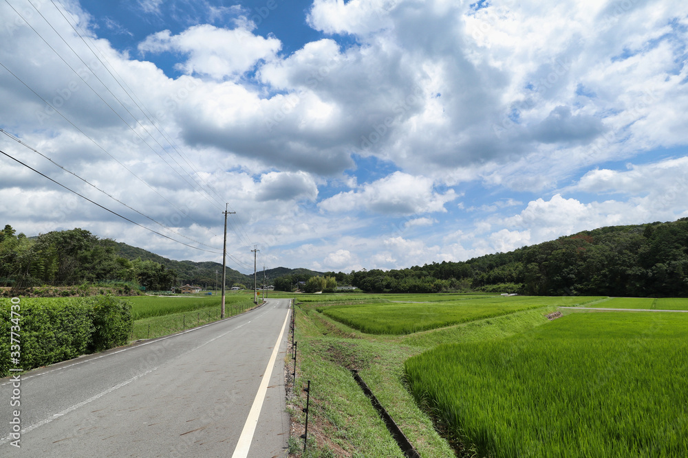 road in the countryside road in the countryside