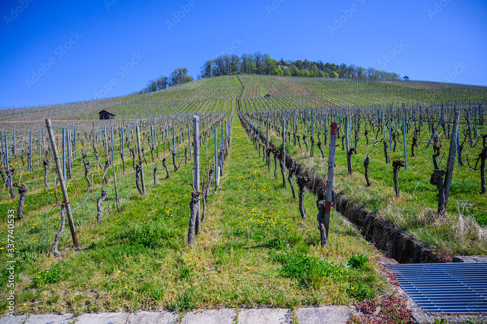 View from the vineyards in spring in Großbottwar Germany