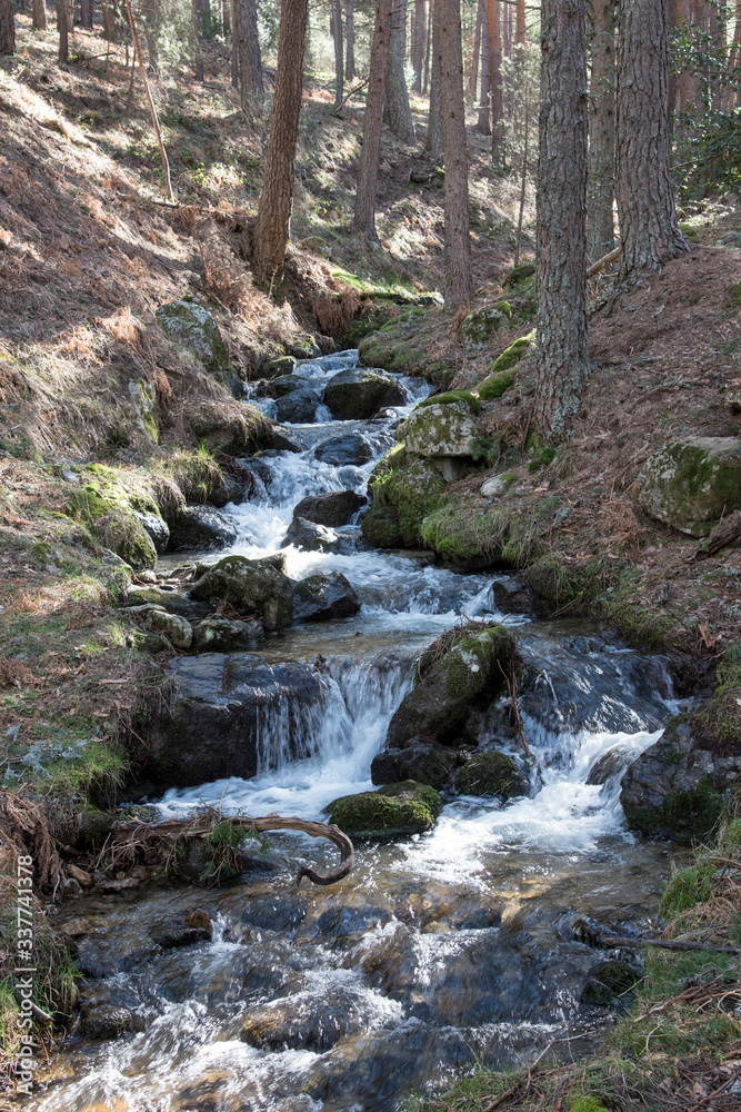 Arroyo de la Chorranca in Valsain, Segovia, Castilla y Leon, Spain, Europe. Fast and fresh mountain water stream - obrazy, fototapety, plakaty 