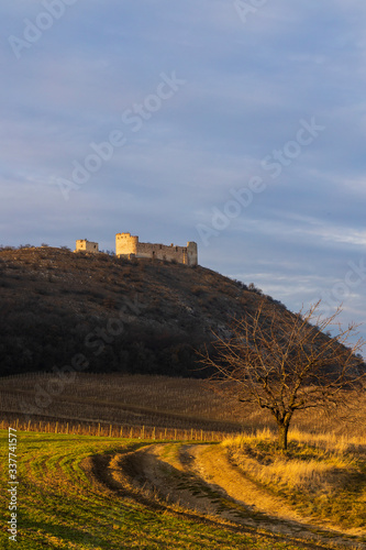 ruins of Devicky Castle with vineyards, Czech Republic