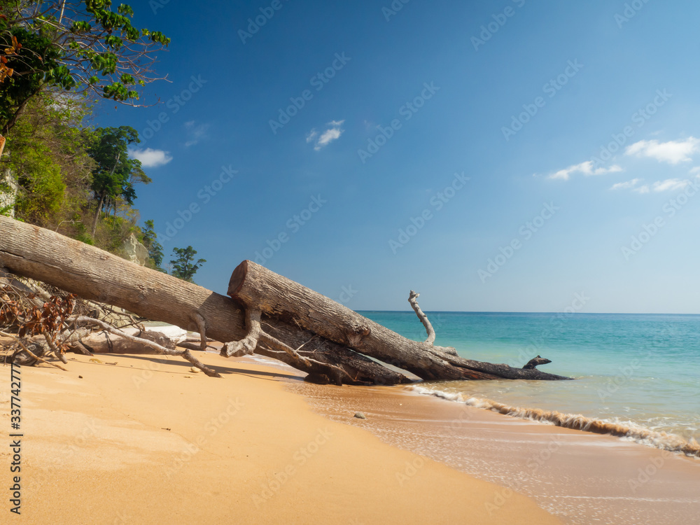 Sunny day on the beach with clear sky in the Andaman island, India