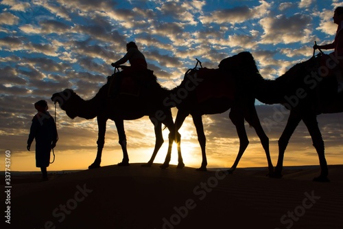 Camels take people deep into the Sahara desert