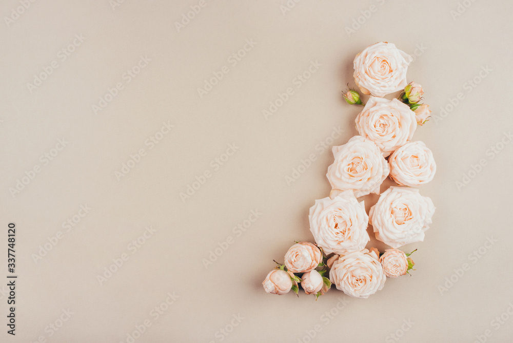 Spring background. Rose flowers on a beige background. Flat lay. Copy space for your text. Spring background. Rose flowers on a beige background. Flat lay. Copy space for your text.