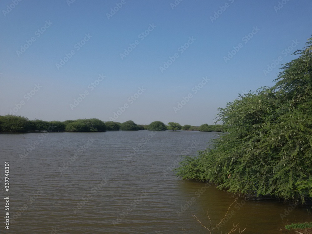 Monsoon rain fill up the countryside lake