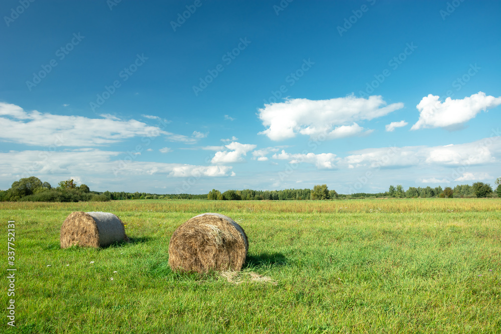 Hay bales lying on a green meadow, horizon and white clouds on a blue sky