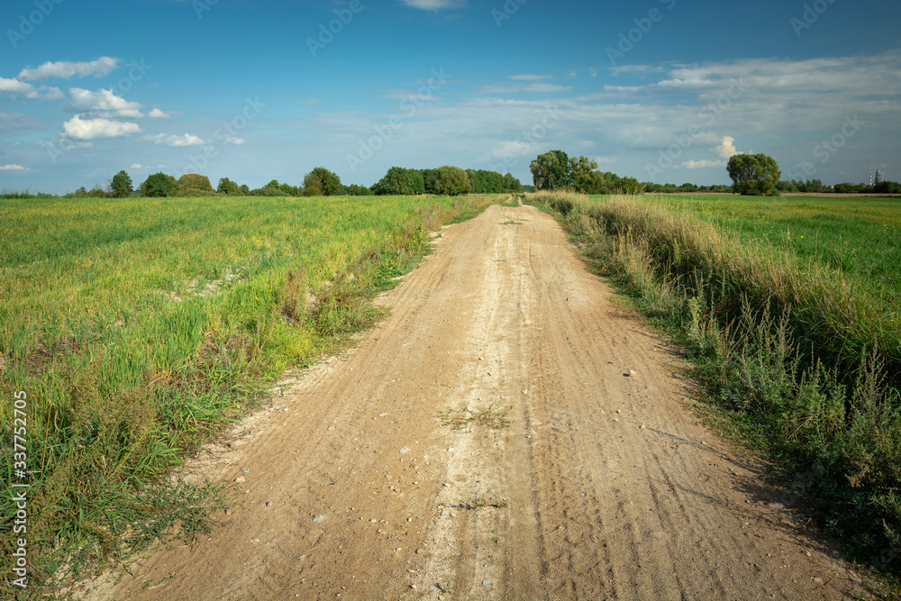 Fototapeta premium Sandy road through a green meadow, horizon and blue sky