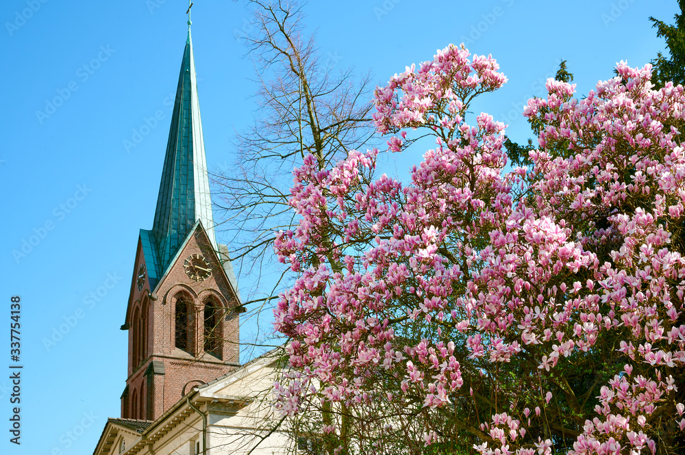 Blühender Baum mit rosa Blüten neben dem Kirchturm einer katholischen Kirche in der deutschen Stadt Hattingen im Ruhrgebiet zu Ostern 2020
