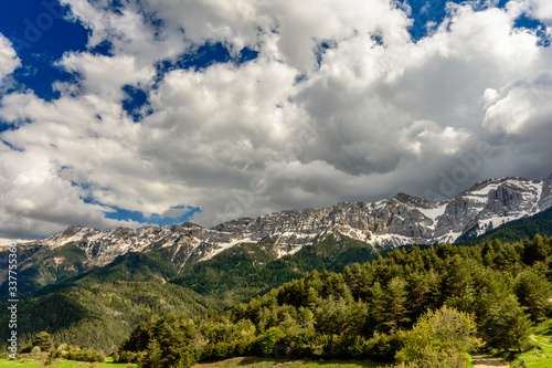 Green pine forest and mountains covered with snow (region of Cerdanya, Catalonia, Spain)