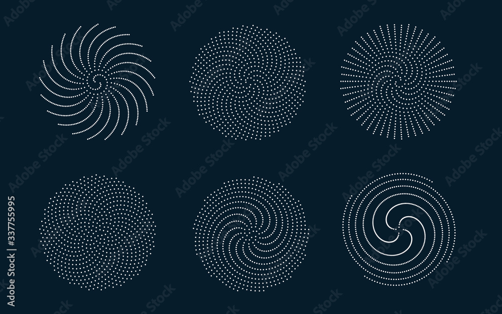 Mathematical morphology visualization of phyllotaxis spiral types