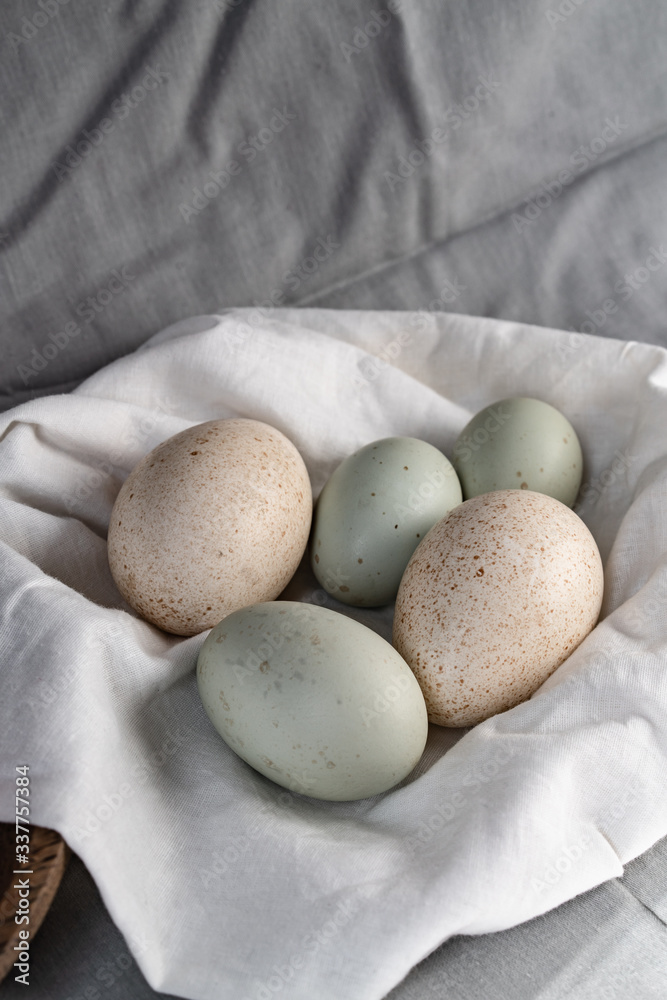 Araucana eggs and goose eggs Araucana eggs and goose eggs