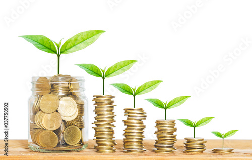 coin stack money saving concept. green leaf plant growth on rows of coin on white background. money matters tips to investment and business financial banking for Financial Wellness.