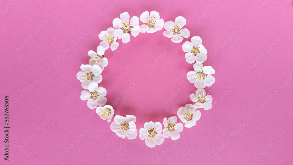 Bloom in circle on pink background. Simple flat lay with pastel texture. Fashion eco concept. Stock photo.