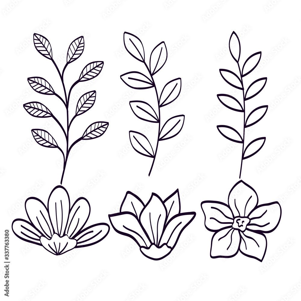 set of branches with leafs naturals vector illustration design