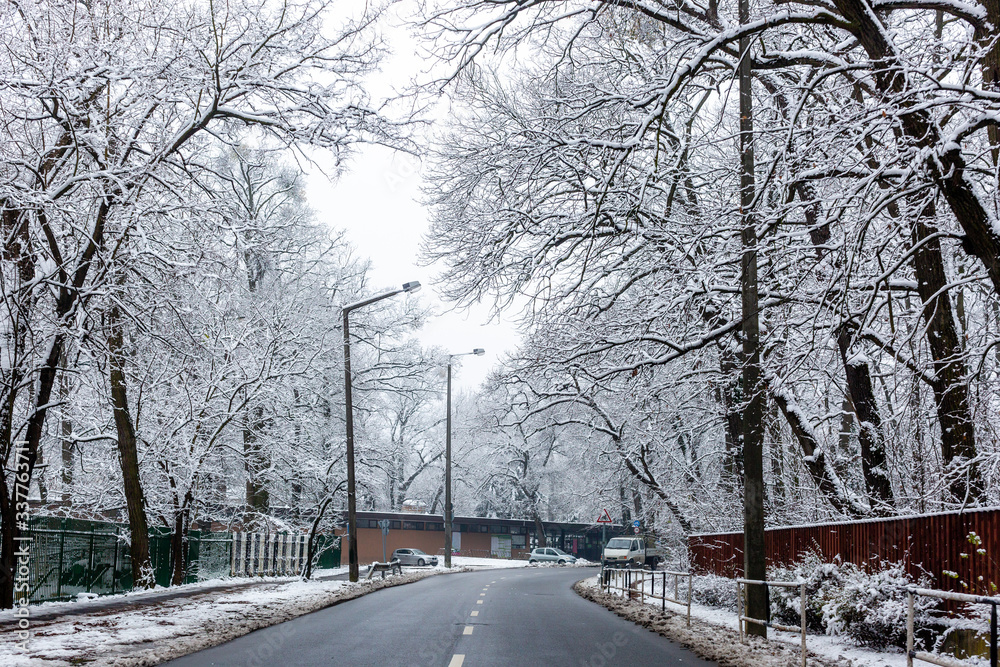 View of small town street in winter. Nyiregyhaza, Hungary View of small town street in winter. Nyiregyhaza, Hungary
