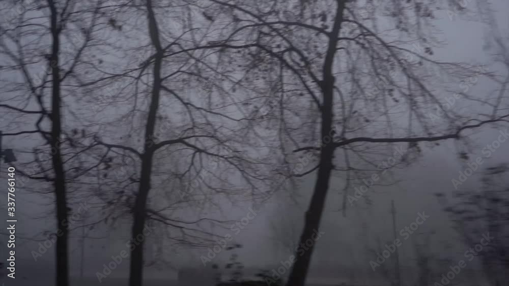 Foggy forest by the Germania Statue in Rüdesheim am Rhein in Germany. Slow motion footage in Winter. Foggy forest by the Germania Statue in Rüdesheim am Rhein in Germany. Slow motion footage in Winter.