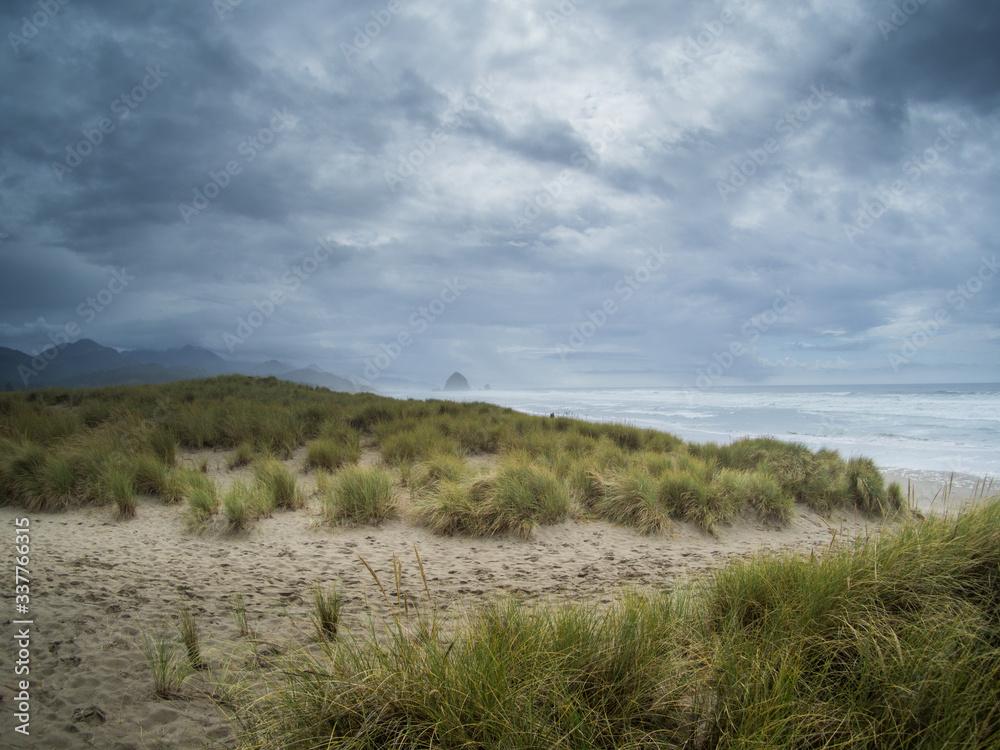 Dunes at Cannon Beach, Oregon