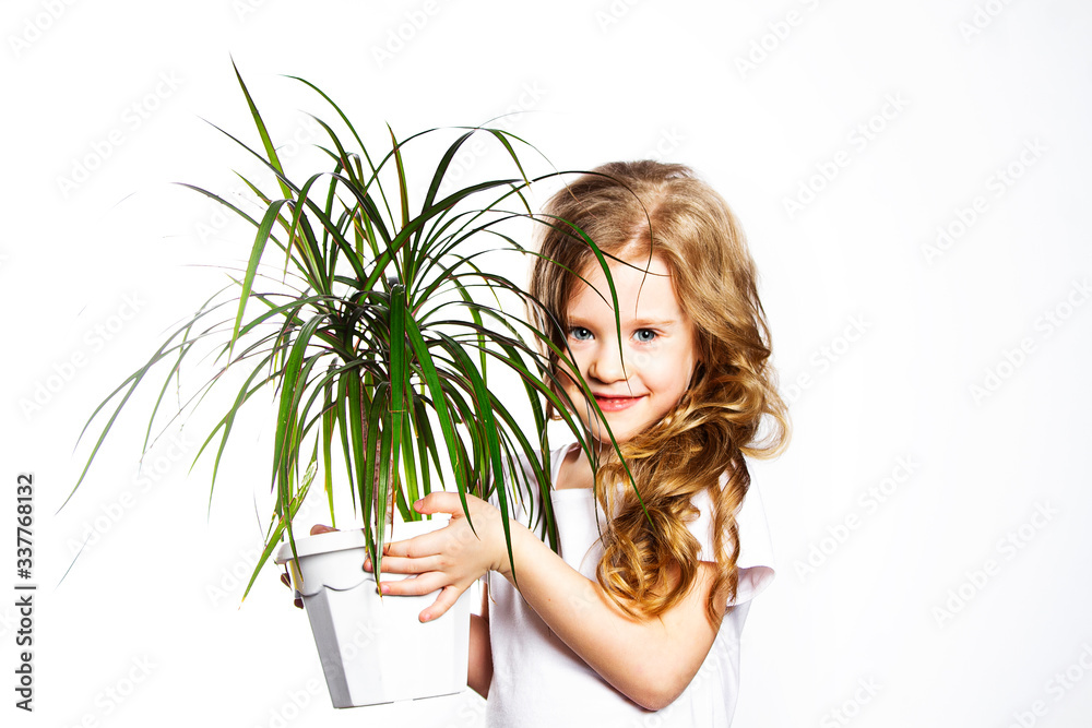 Flower in a flower pot in children's hands. Homemade palm tree in a white pot. Little girl holds a flower in her hands. Flower in a flower pot in children's hands. Homemade palm tree in a white pot. Little girl holds a flower in her hands.