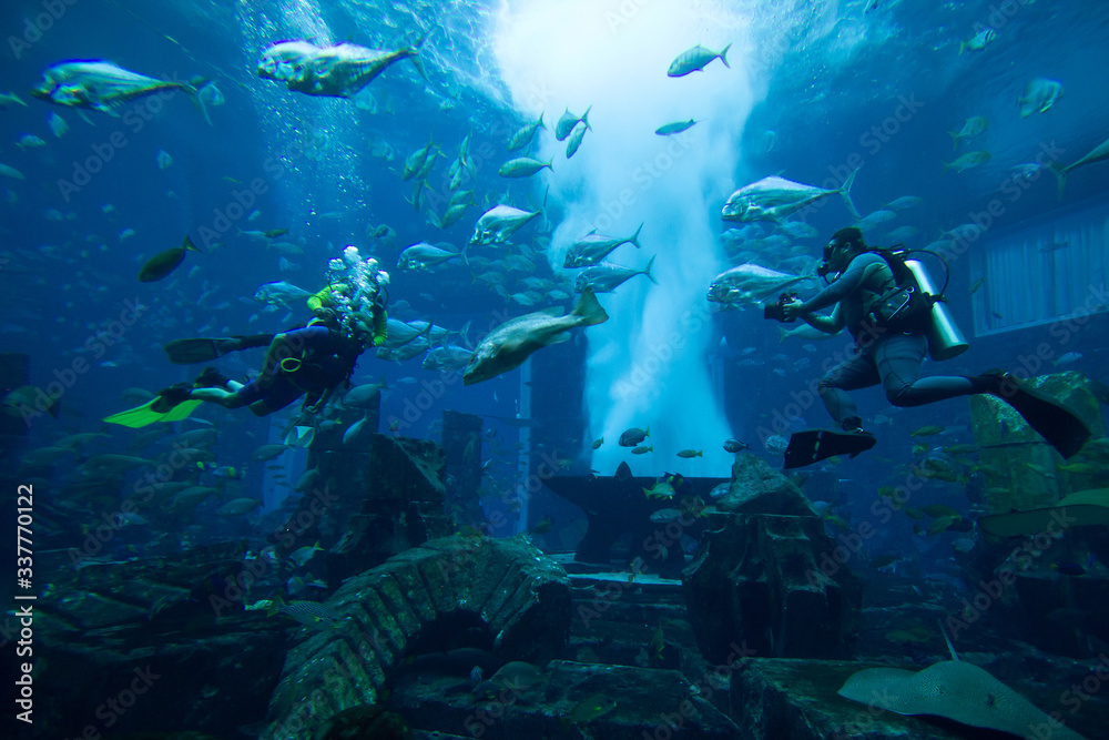 Dubai, UAE, January 4, 2016. Scuba divers taking pictures with fish Dubai, UAE, January 4, 2016. Scuba divers taking pictures with fish