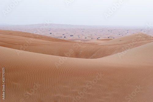 orange sands in the desert