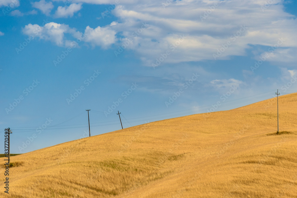 Obraz premium Lands of Tuscany in the Province of Siena Italy