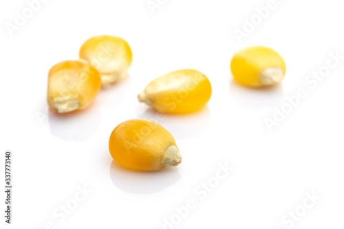 Raw Corn Seeds or Corn kernels isolated on white. Yellow Sweet grain popcorn - agriculture background. Detailed macro photo.