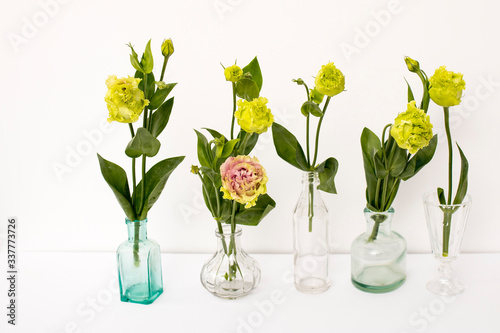 Bouquet of green and pink terry lisianthus in a transparent round vases and bottles on a white background.