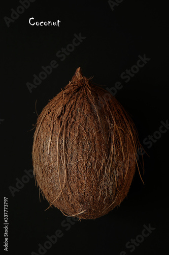 Close-up of an exotic and fresh coconut on a black background. Fresh, ripe and organic fruit of coconut. Bright brown nut full of vitamins. Healthy summer ingredients. Top view of a whole coconut