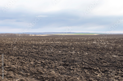 Field plowed, sown cereals. Plowed field in spring day. Black soil plowed field. Plowed field in the blue sky