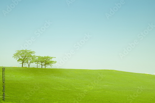earth day and protect environment activity from less of tree in the field with blue sky