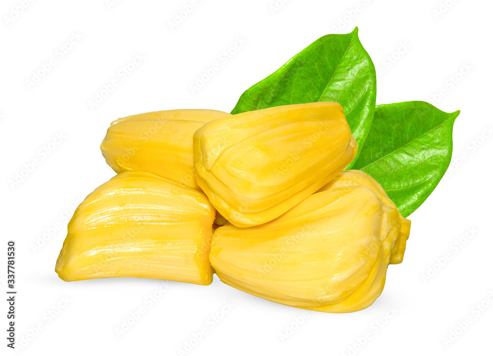 Jackfruit with jackfruit leaf, isolated on white background. Jackfruit with jackfruit leaf, isolated on white background.