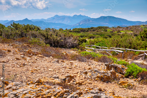 Panoramic view of Spalmatore di Terra peninsula of Marine Protected Area natural reserve with Mediterranean scrub of Isola Tavolara island on Tyrrhenian Sea off northern coast of Sardinia, Italy photo