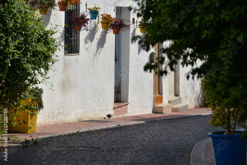 Deserted typical andalusian street on a sunny day in summer